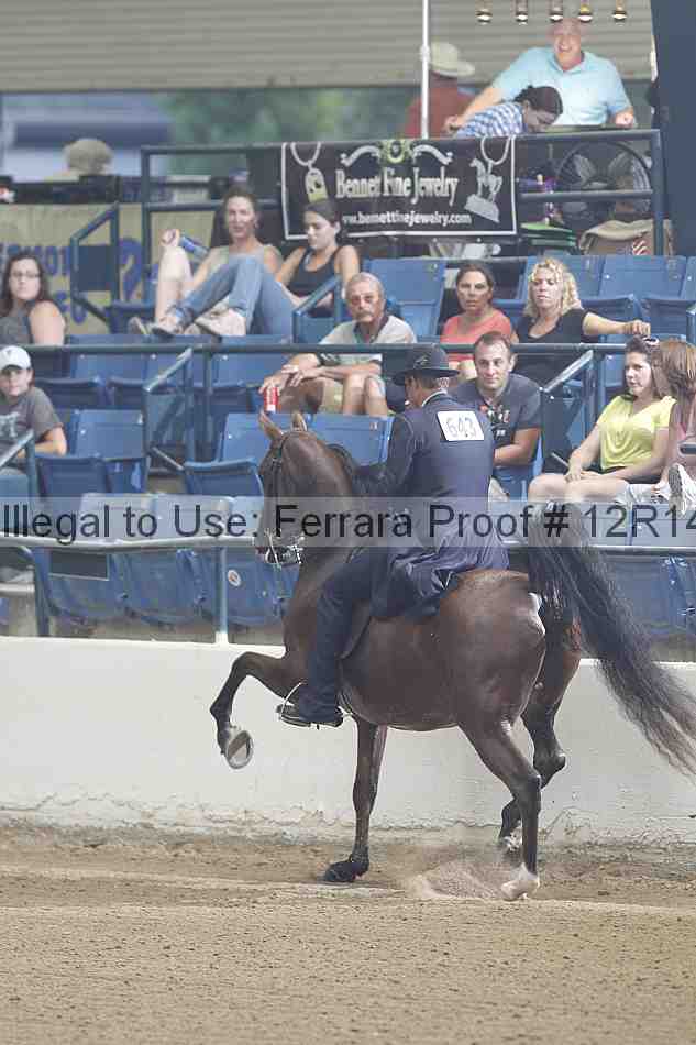 Proof 12r14_5276