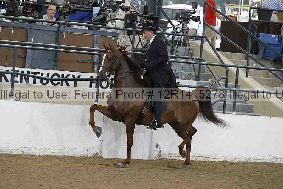 Proof 12r14_5278