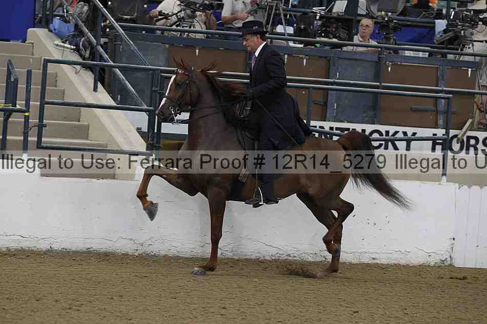 Proof 12r14_5279