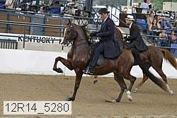 12r14_5280 proof