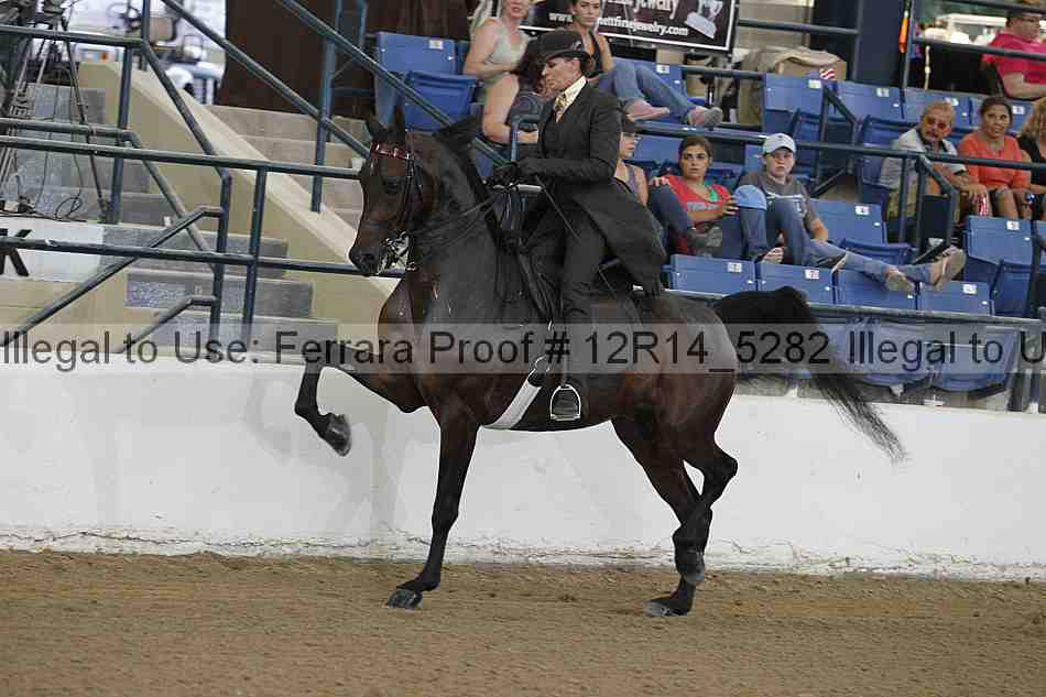Proof 12r14_5282