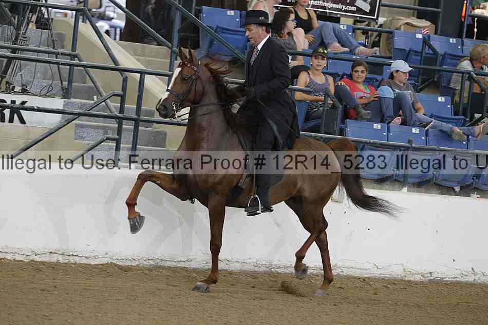 Proof 12r14_5283