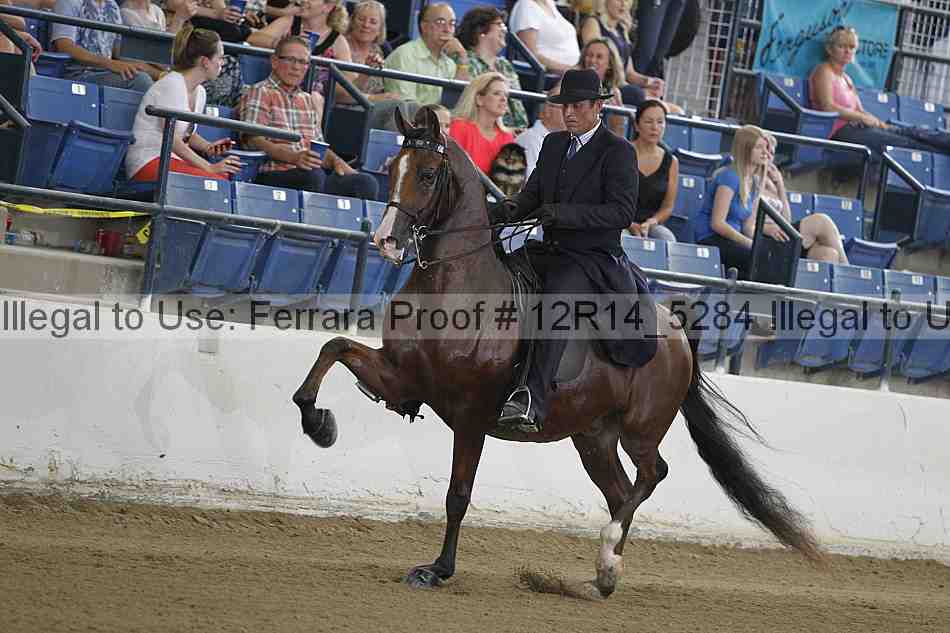 Proof 12r14_5284