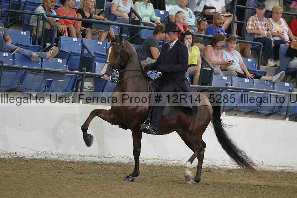 Proof 12r14_5285