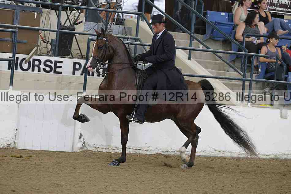 Proof 12r14_5286