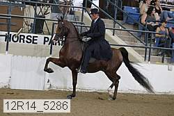 12r14_5286 proof