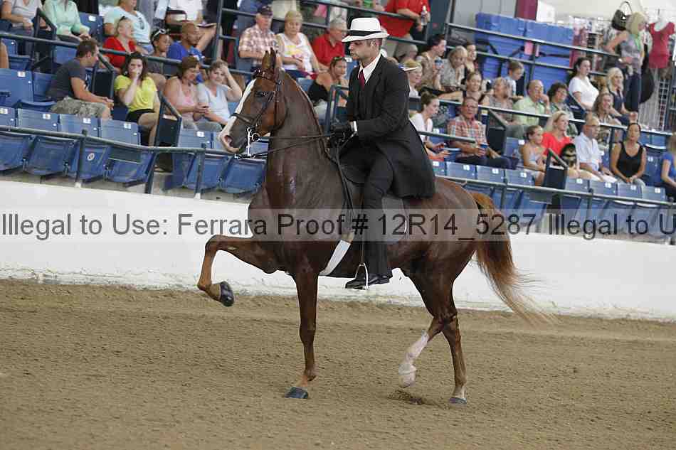Proof 12r14_5287