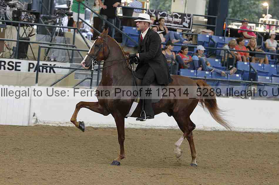 Proof 12r14_5289
