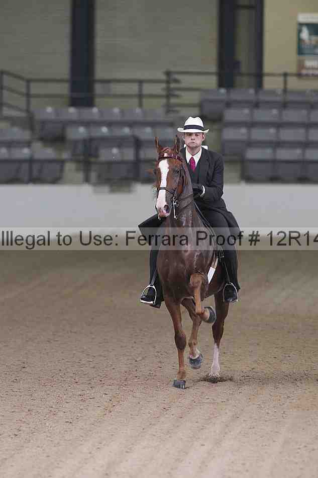Proof 12r14_5290