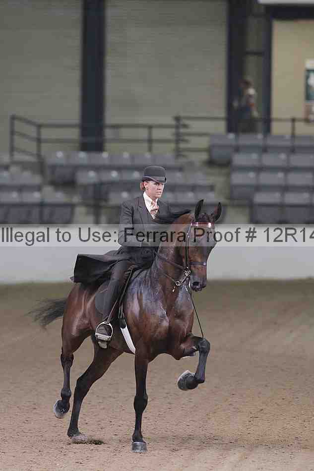 Proof 12r14_5291