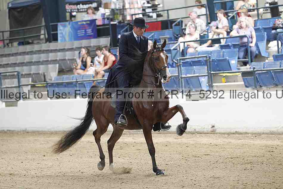 Proof 12r14_5292