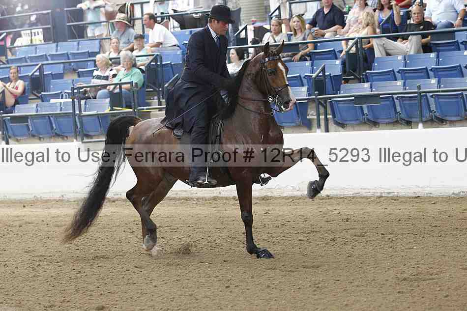 Proof 12r14_5293