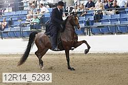 12r14_5293 proof