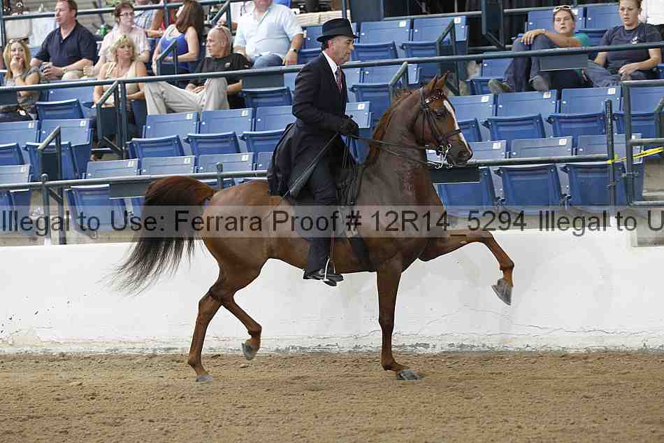 Proof 12r14_5294