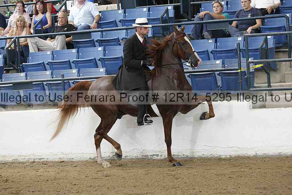Proof 12r14_5295