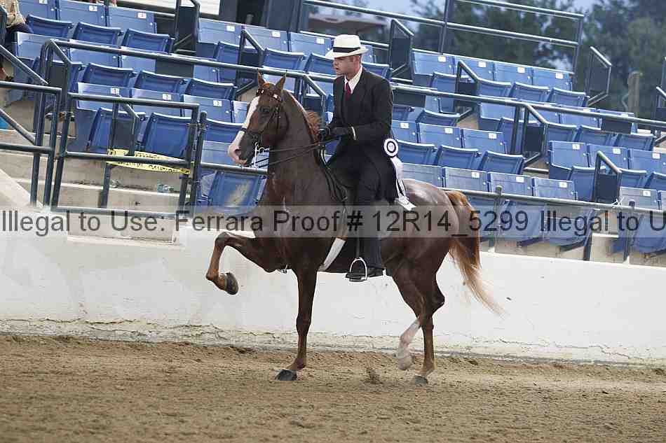 Proof 12r14_5299