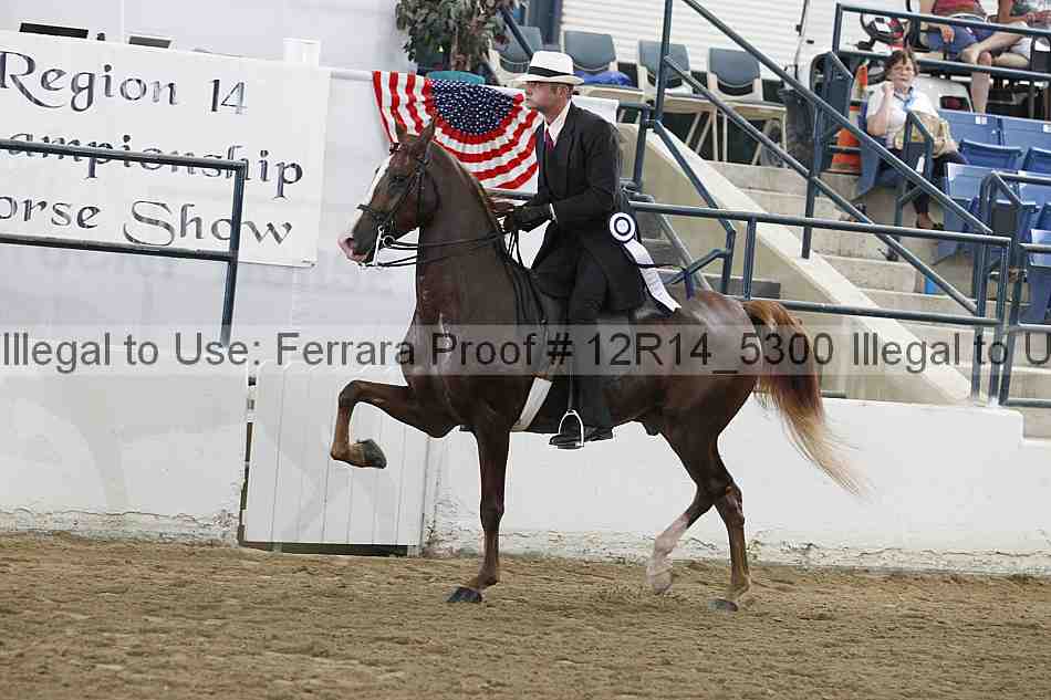 Proof 12r14_5300