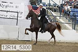 12r14_5300 proof