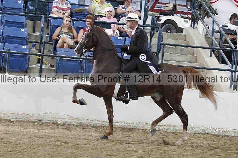 Proof 12r14_5301