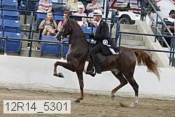 12r14_5301 proof