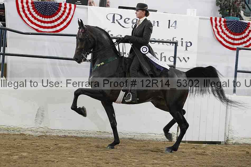 Proof 12r14_5302