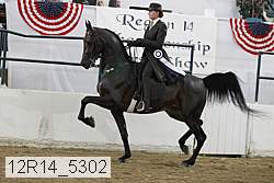 12r14_5302 proof
