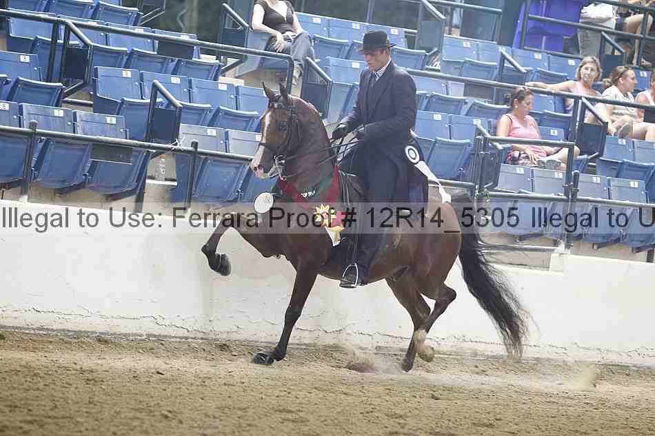 Proof 12r14_5305