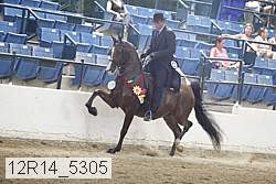 12r14_5305 proof