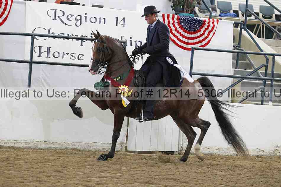 Proof 12r14_5306