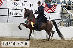 12r14_5306 proof