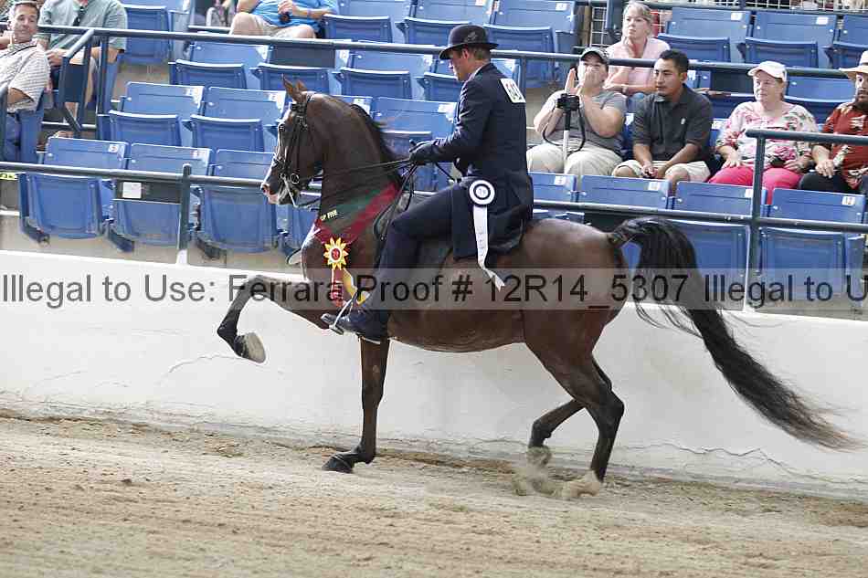 Proof 12r14_5307