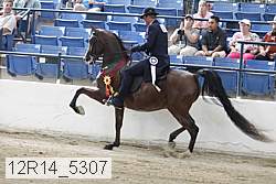 12r14_5307 proof