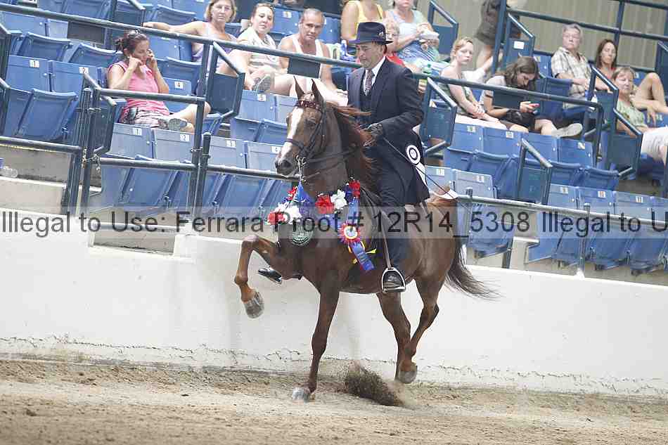 Proof 12r14_5308
