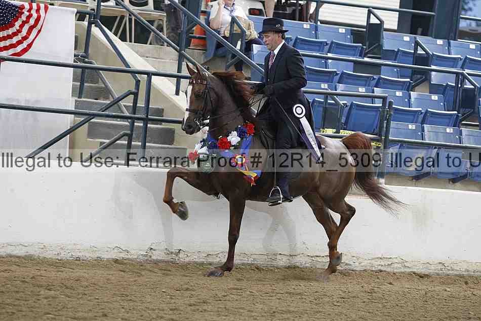 Proof 12r14_5309