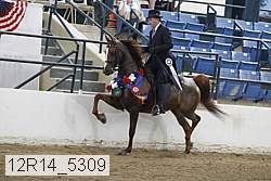12r14_5309 proof