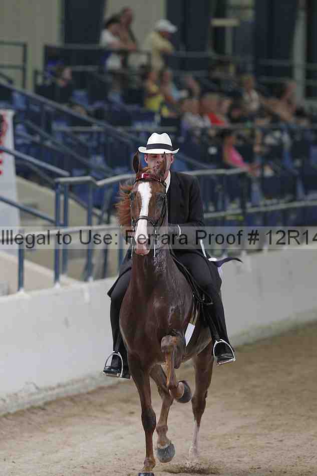 Proof 12r14_5310