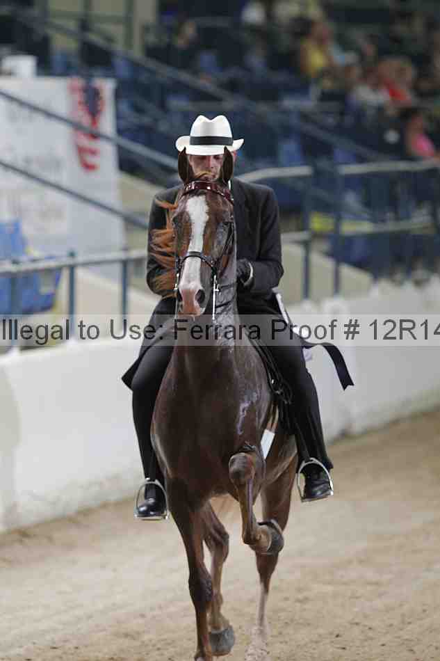 Proof 12r14_5311