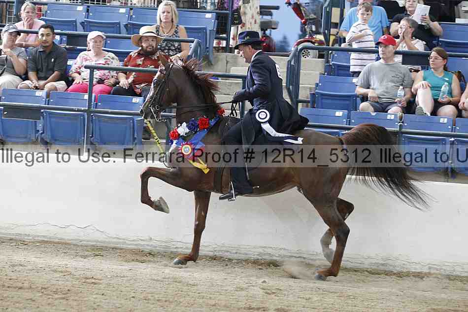 Proof 12r14_5312