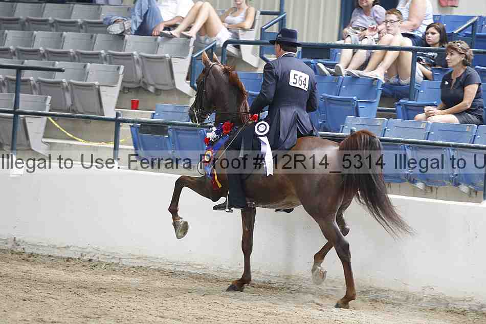 Proof 12r14_5314