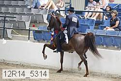 12r14_5314 proof