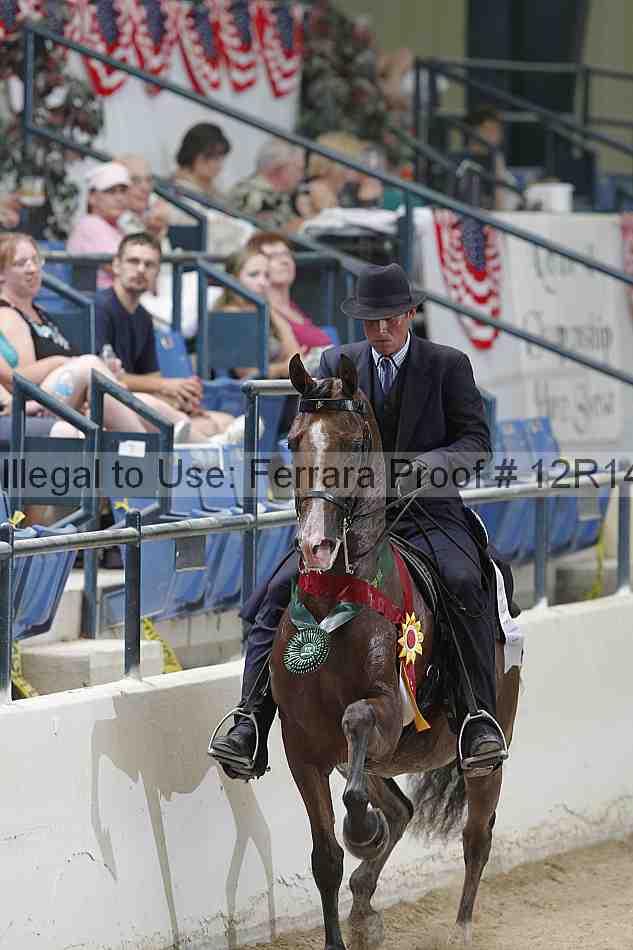 Proof 12r14_5316