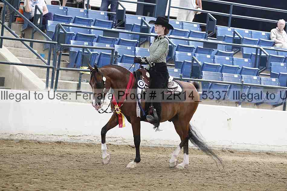Proof 12r14_5337