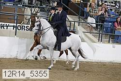 12r14_5355 proof