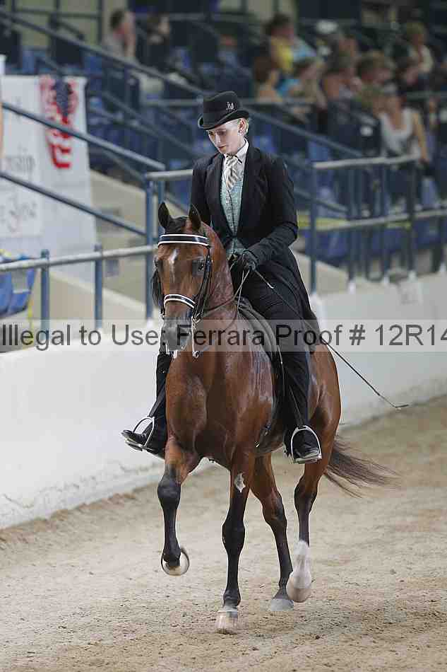 Proof 12r14_5366