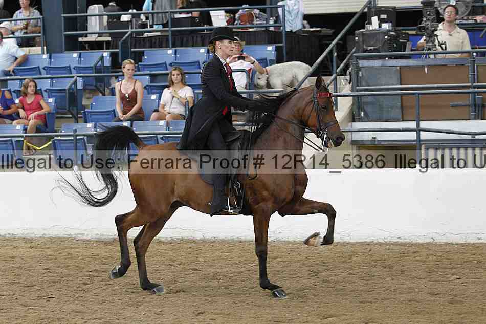 Proof 12r14_5386