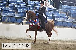 12r14_5403 proof