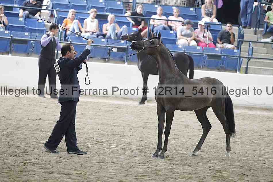 Proof 12r14_5416