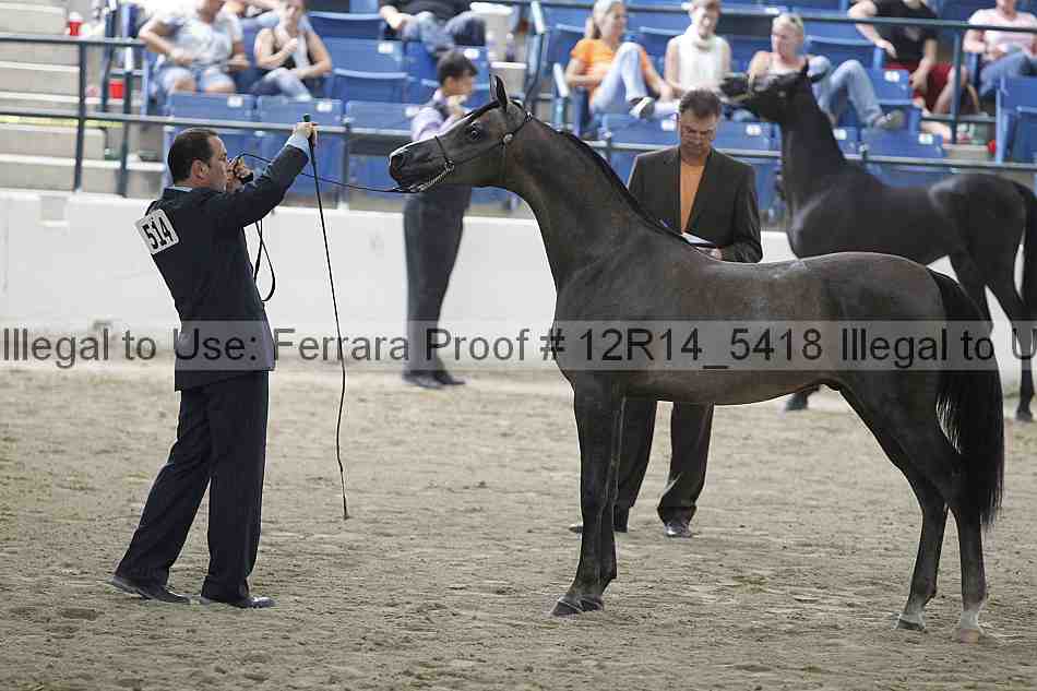 Proof 12r14_5418