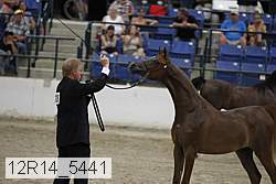 12r14_5441 proof