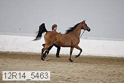 12r14_5463 proof